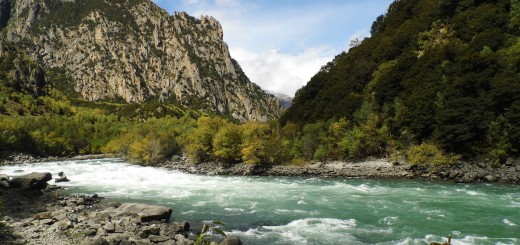 Emisiunea “Meditatia saptamanii” din 17.11.2015 cu Stefan Pusca