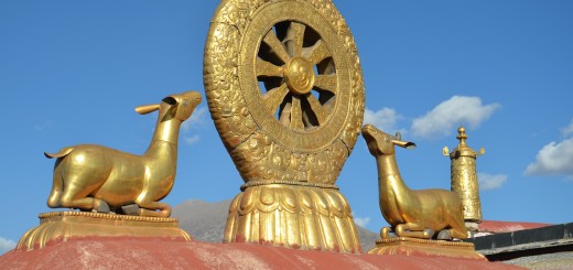 Meditatia saptamanii