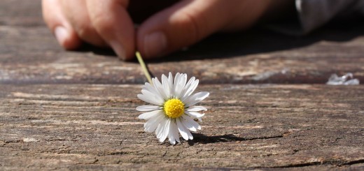 Meditatie Stefan Pusca mindfulness